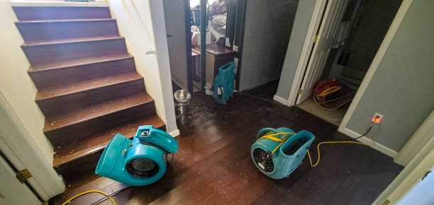 Best Ceiling water damage repair  in Reminderville, OH