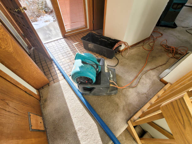Best Carpet water damage restoration  in Reminderville, OH