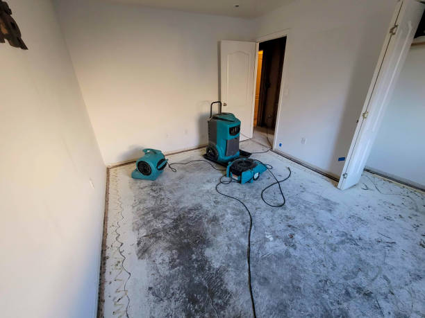 Best Basement water damage restoration  in Reminderville, OH