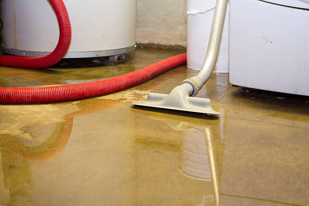 Best Local water damage restoration  in Reminderville, OH