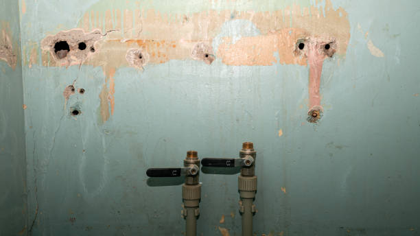 Best Local water damage restoration  in Reminderville, OH