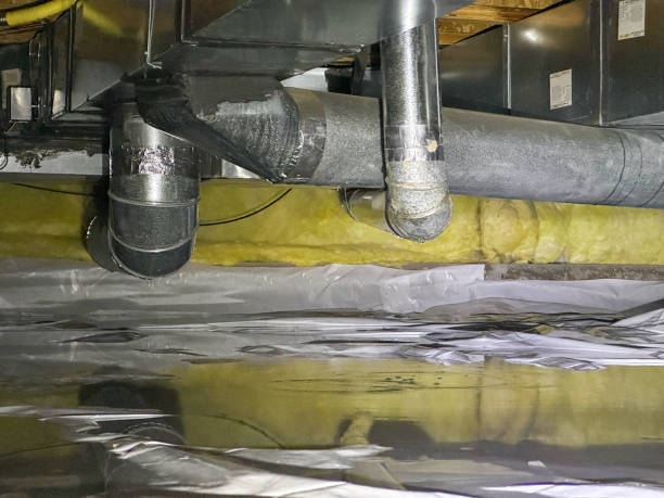 Best Water damage contractors near me  in Reminderville, OH